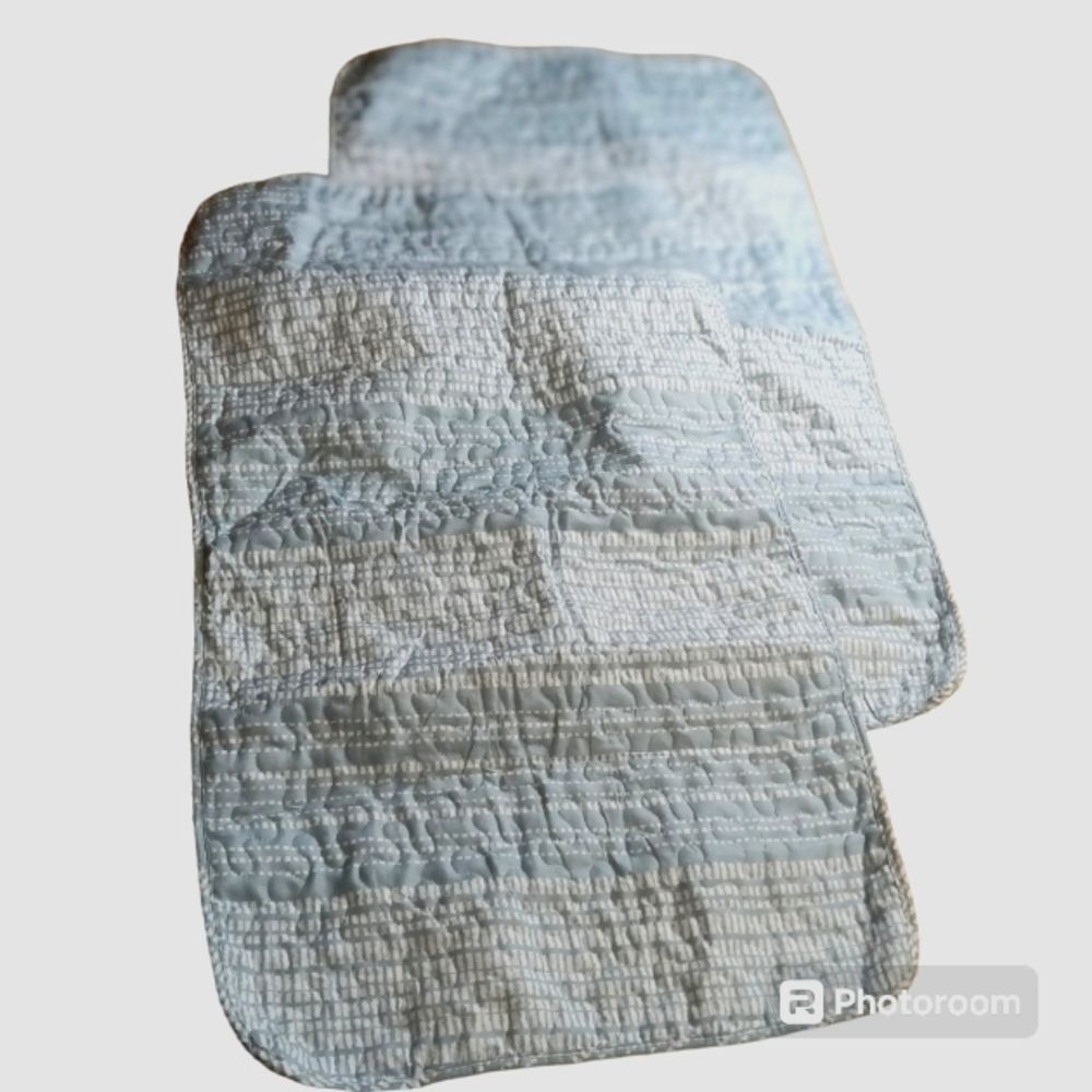 Beatrice Home Blue and White Print Quilted Pillow Shams 20X38